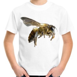 koszulka z pszczołą dziecięca z nadrukiem motywem pszczoły owada t-shirt