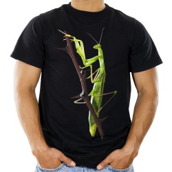 koszulka z modliszką owadem męska