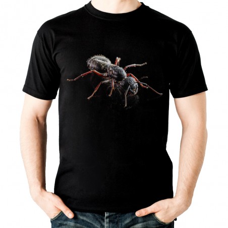 koszulka z mrówką dziecięca z nadrukiem motywem mrówki owada
