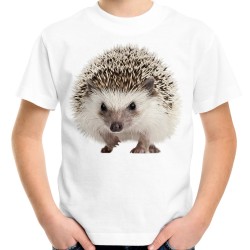 koszulka dziecięca z jeżem z nadrukiem motywem jeża t-shirt