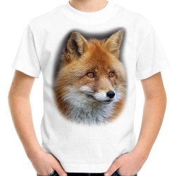 koszulka dziecięca z lisem z nadrukiem motywem lisa