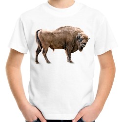 koszulka z żubrem dziecięca z bizonem z nadrukiem motywem żubr