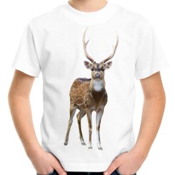 koszulka z jeleniem dziecięca na prezent t-shirt z nadrukiem motywem jelenia na prezent