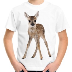 koszulka z młodą sarną sarenką na prezent dla małego miłośnika leśnych zwierząt