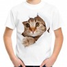 koszulka dziecięca z kotem rozrywającym t-shirt trójwymiarowa