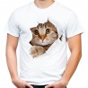 koszulka męska z kotem rozrywającym t-shirt