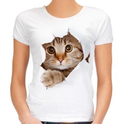 koszulka damska w kotem rozrywającym t-shirt