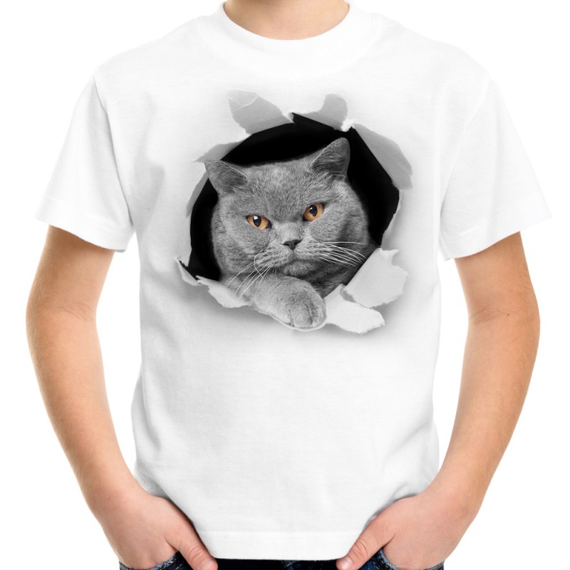 koszulka dziecięca z szarym kotem brytyjskim rozerwany efekt trójwymiarowy