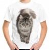 koszulka dziecięca z szary kotem z puszystym ogonem Maine Coon