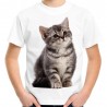koszulka dziecięca z szarym pręgowanym kotem domowym