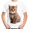 koszulka z kotkiem t-shirt z kociakiem rudym domowym pręgowanym