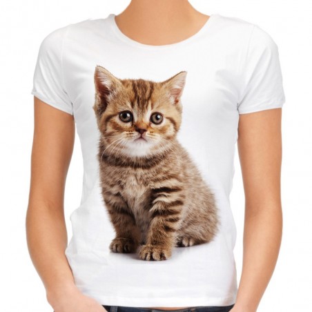 koszulka z rudym kotem damska kociak kotek pręgowany domowy