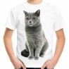 koszulka z szarym kotem brytyjskim rasowym dziecięca