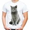 koszulka męska t-shirt z kotem brytyjskim szarym