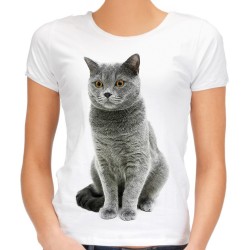koszulka damska z kotem szarym brytyjskim t-shirt dla kociary