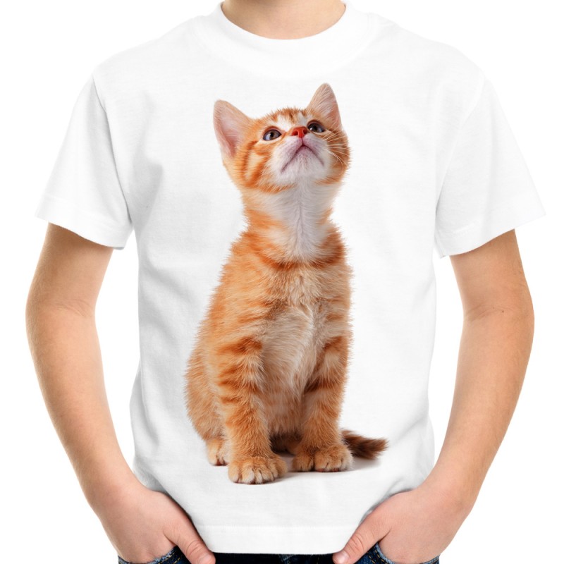 koszulka dziecięca z rudym kotem domowym dachowcem