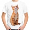 koszulka dziecięca z rudym kotem domowym dachowcem