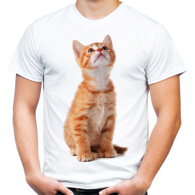 koszulka męska z rudym kotem pręgowanym dla kociarza
