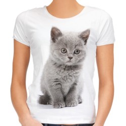 koszulka z kotem szarym damska brytyjski kociak