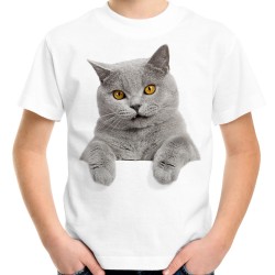 koszulka z szarym kotem t-shirt z kociakiem brytyjskim dziecięcy