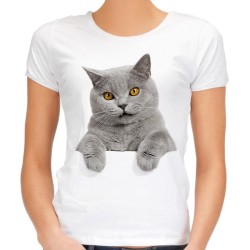 koszulka damska z kotem szarym brytyjskim dla kociary t-shirt