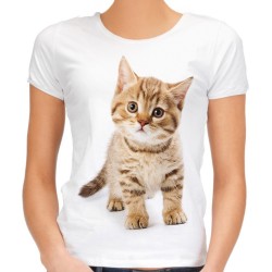 koszulka damska z kociakiem kotkiem beżowym t-shirt z młodym kotem