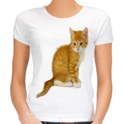 koszulka damska z rudym kotkiem kociakiem t-shirt z kotem dachowcem domowym