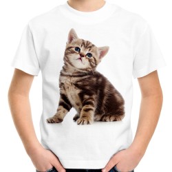 koszulka z bezowo brązowym kotkiem młodym kociakiem t-shirt małym kotem