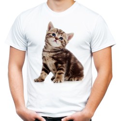 koszulka z młodym kotkiem t-shirt z kotem domowym dachowcem małym kociakiem