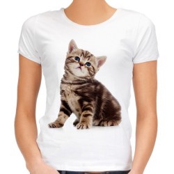 koszulka z brązowym kotkiem bezowym kociakiem małym młodym t-shirt