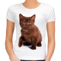 koszulka damska z brązowym kotem kociakiem młodym dachowcem małym domowym