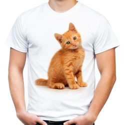 koszulka męska z rudym kotem domowym dachowcem