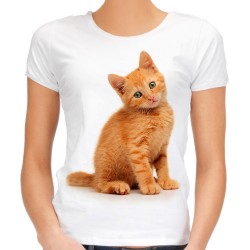 koszulka damska z rudym kotkiem kociakiem t-shirt z kotem dachowcem domowym