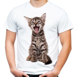 koszulka męska z młodym kotkiem t-shirt z kotem domowym dachowcem małym kociakiem