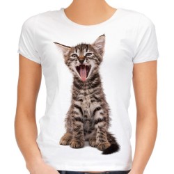 koszulka z brązowym kotkiem bezowym kociakiem małym młodym t-shirt