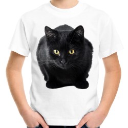 koszulka dziecięca z czarnym kotem przyczajonym polującym domowym
