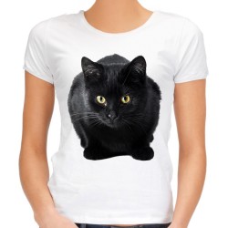 koszulka t-shirt z kotem czarnym dachowcem przyczajonym siedzącym