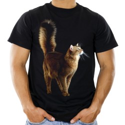 koszulka męska z brązowym rudym kotem z puszystym ogonem Maine Coon