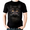 koszulka dziecięca z czarnym kotem dla kociarza pers