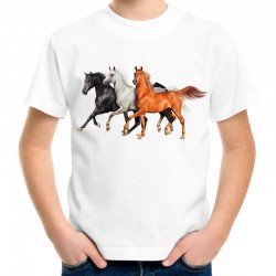 koszulka dziecięca z koniem jeździecka z końmi koszulka dla dziecka z koniem