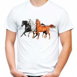 koszulka z koniem koszulki z końmi koszulka jeździecka