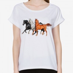 Bluzka z koniem bluzki z końmi koszulka z koniem koszulki z końmi