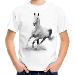 koszulka dziecięca z koniem t-shirt jeździecki z koniem dla chłopca