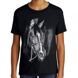 Koszulka z koniem arabem dziecięca dla chłopca t-shirt z nadrukiem motywem konia koń arab odzież jeździecka warszawa sklep