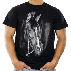 koszulka t-shirt z koniem nadrukiem motywem konia jeździecka odzież sklep warszawa