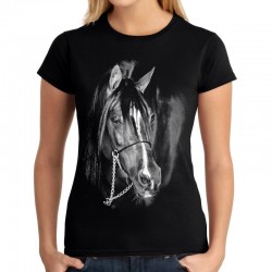koszulka damska z koniem t-shirt z nadrukiem motywem konia araba arab jeździcka sklep warszawa