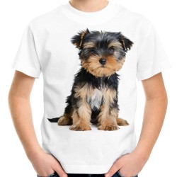 Koszulka dziecięca z Yorkiem psem Yorkshire terrier z nadrukiem motywem psa york na prezent
