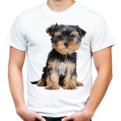 Koszulka męska z Yorkiem psem Yorkshire terrier z nadrukiem motywem grafiką psa razy york