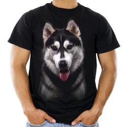 Koszulka z psem Husky Syberyjski męska z nadrukiem motywem grafika psa na prezent