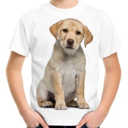 Koszulka z psem labradorem szczeniakiem dziecięca rasy labrador z nadrukiem motywem psa labradora